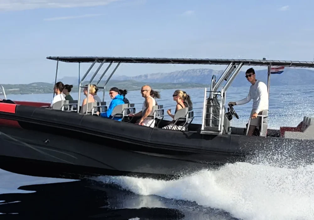 Narwhal Orca 1000 speeding along the Makarska Riviera with guests on board
